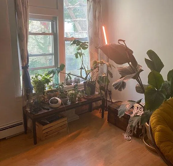 101 Magnolia Ave #1R — Photo 7