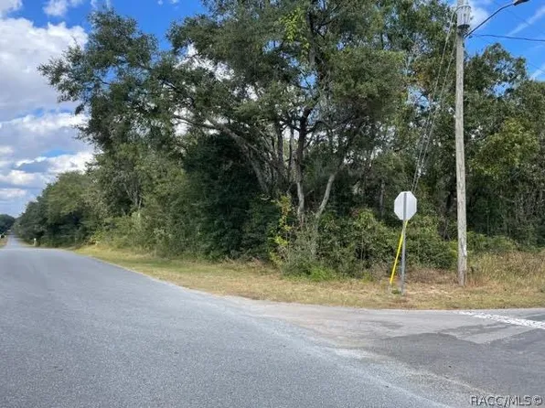 983 W National St, Hernando, FL 34442