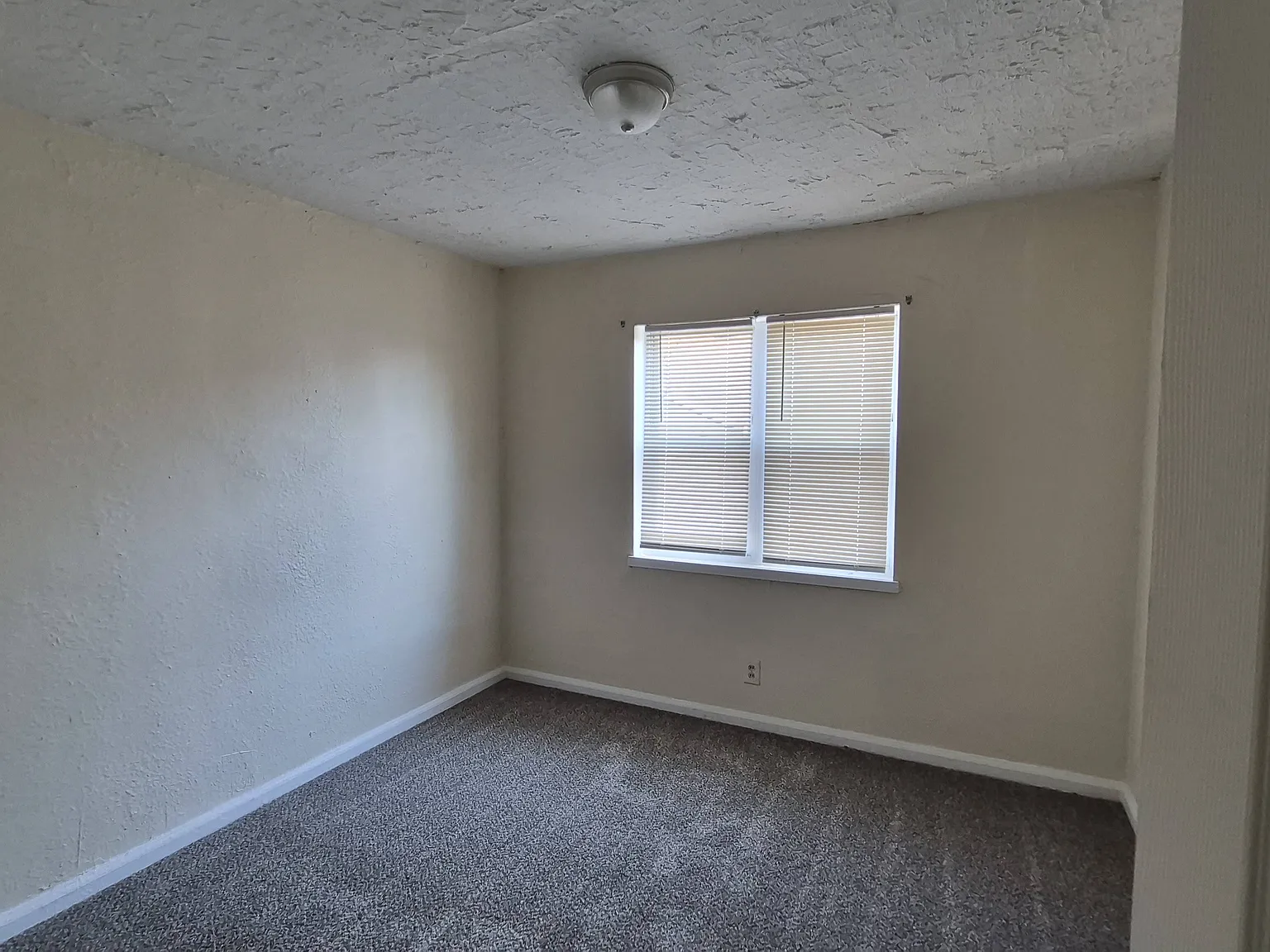 2 bed, $925 — Photo 3