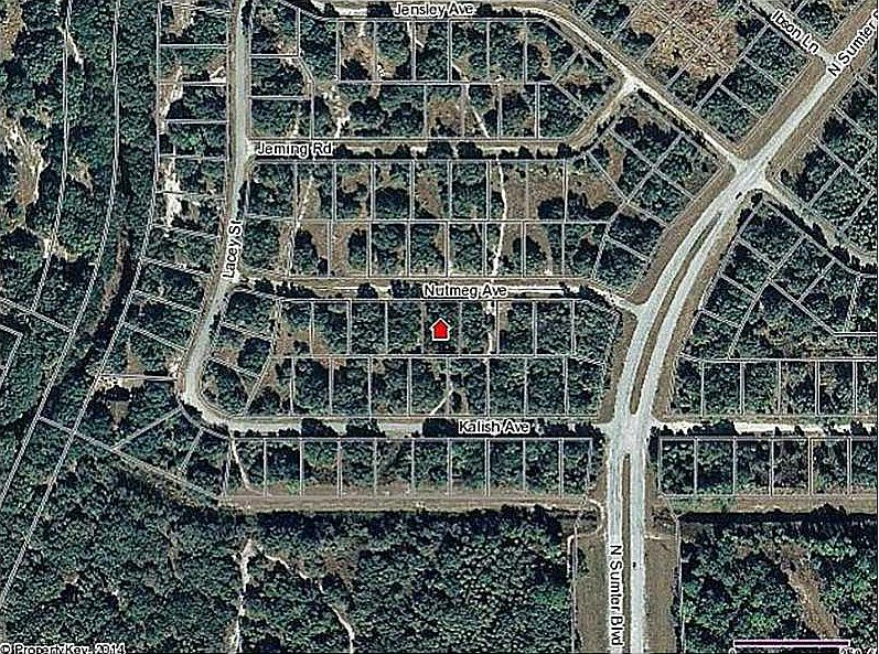 1st image of Nutmeg Ave