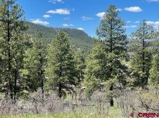 214 Franklin Pl, Pagosa Springs, CO 81147