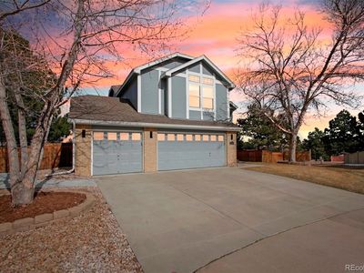 10012 Andrush Court, Lone Tree, CO, 80124
