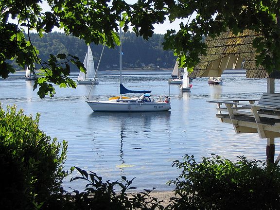 Annual Sailboat Race