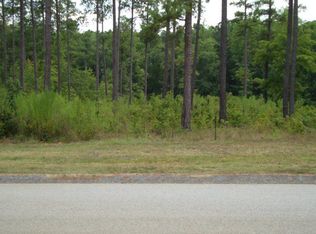 1333 NW Tanyard Creek Rd, Thomson, GA 30824