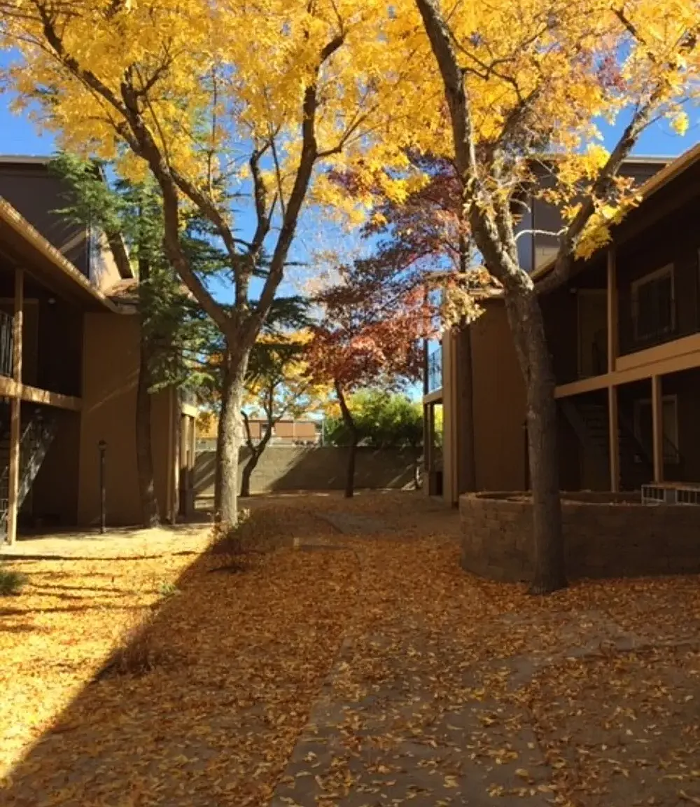 Nevada Hills — Photo 3