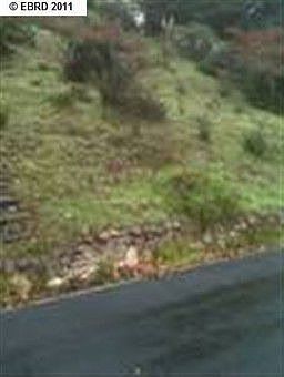 1st image of 1324 Contra Costa Dr