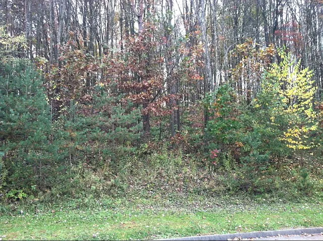 65 Lydia Ln photo 1