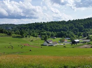 2674 Clouds Rd, New tazewell, TN 37825