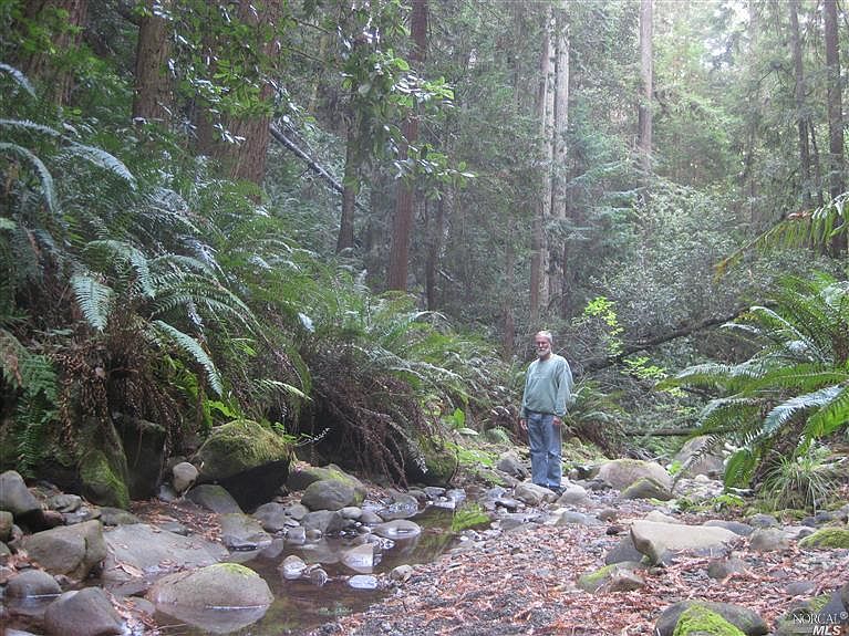 Timber Cove Rd Jenner Ca Zillow