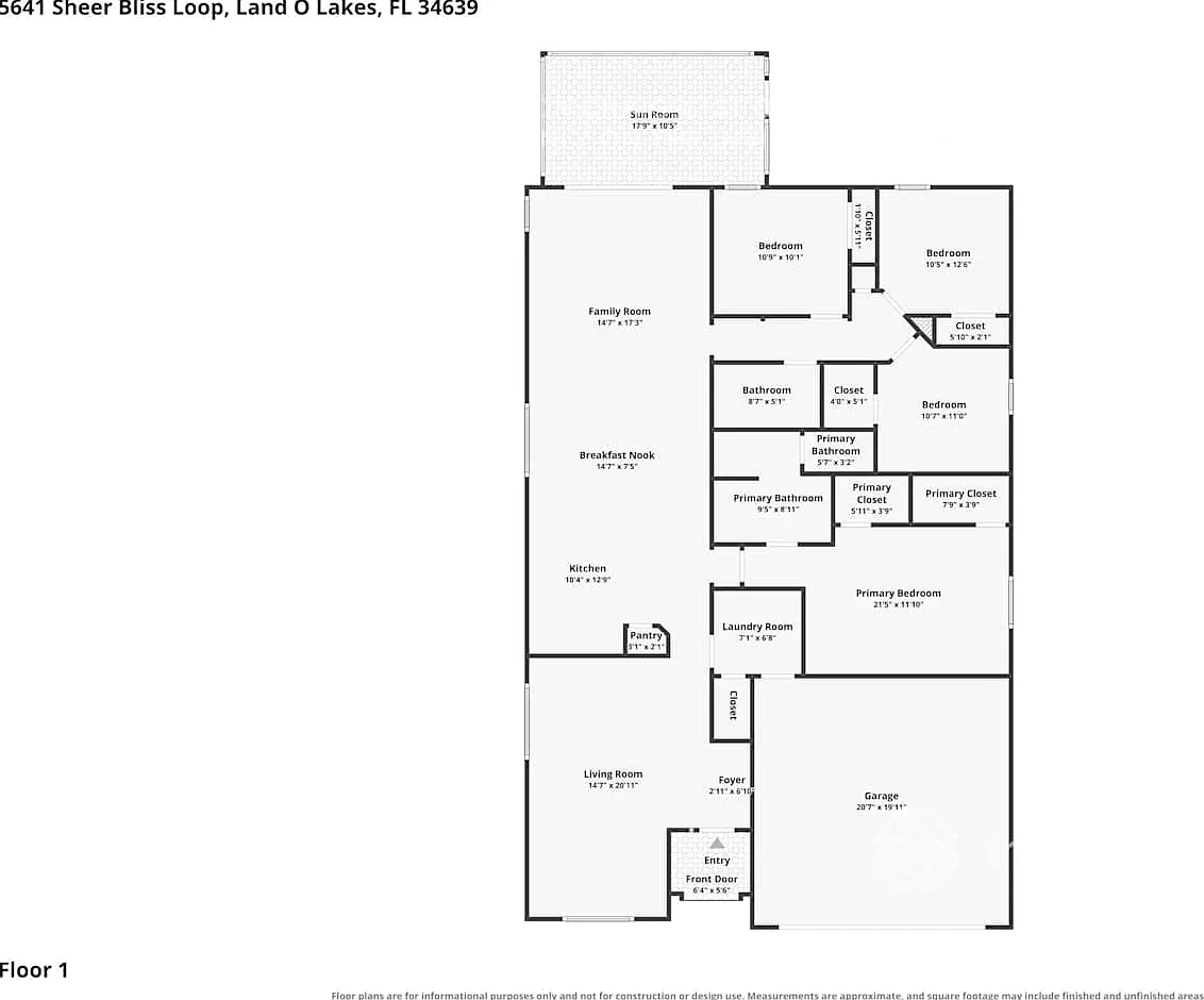 5641 Sheer Bliss Loop Land O Lakes, FL 34639 — Photo 1