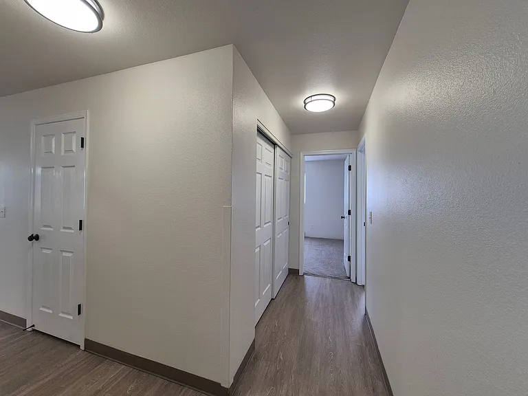 337fi — Photo 12