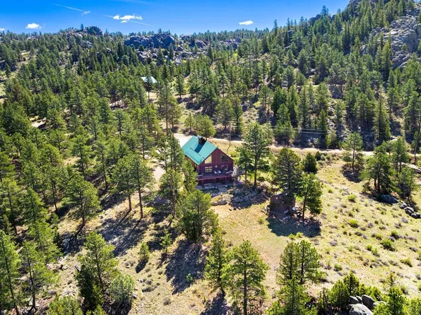 313 Castle Mountain Dr, Livermore, CO 80536