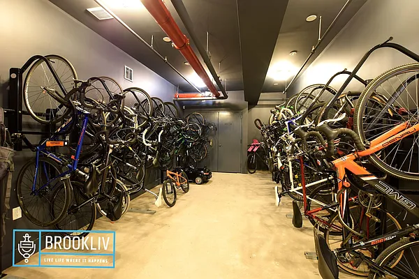 Rented by null | media 48