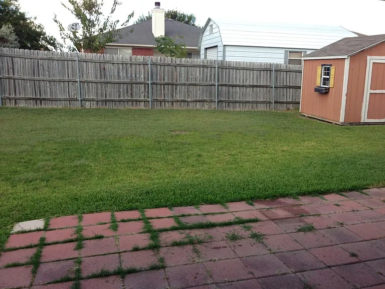 Backyard
