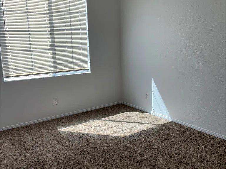 10519 Allegrini Dr — Photo 14