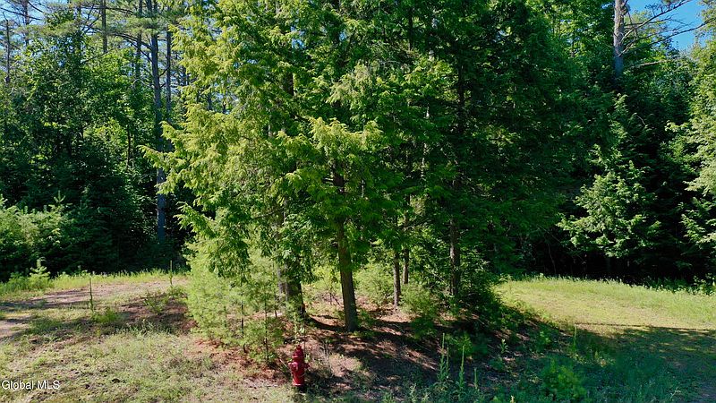 3rd image of 49 The Woods