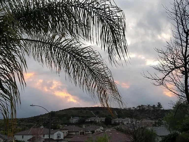 28520 Agajanian Dr — Photo 15
