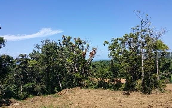 4th image of BO JIMENEZ CARR 966 KM 2.8 INT