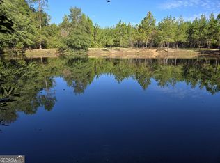 0 Trinity Church Rd, Adrian, GA 31002