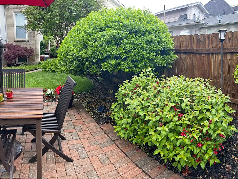 1154 Jefferson St #D — Photo 55