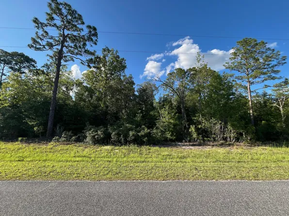 0 SE 70th Lane, Morriston, FL 32668