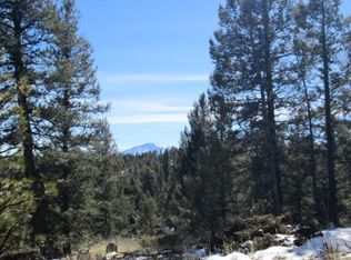 2503 County Road 782, Woodland Park, CO 80863