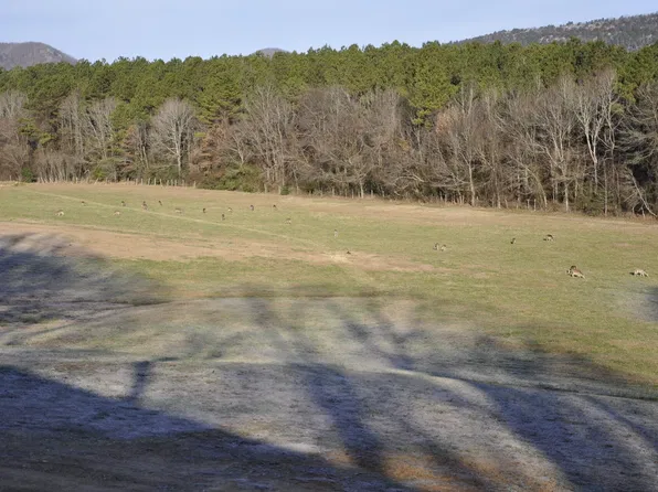 62 Obar Ln, Langley, AR 71952