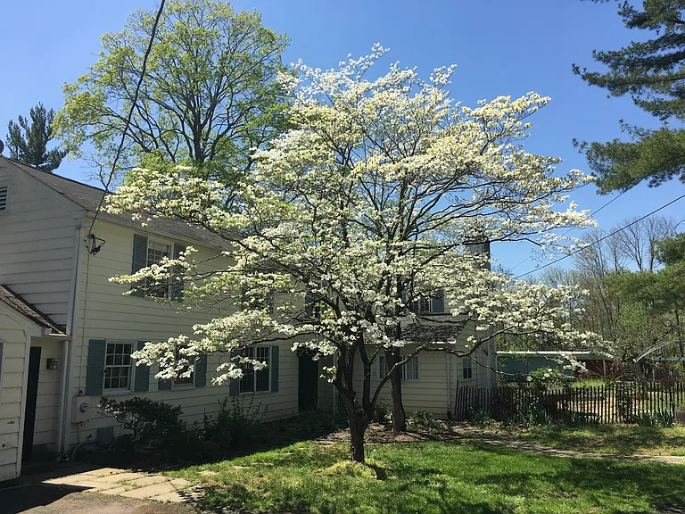 62 Cherry Hill Rd — Photo 2