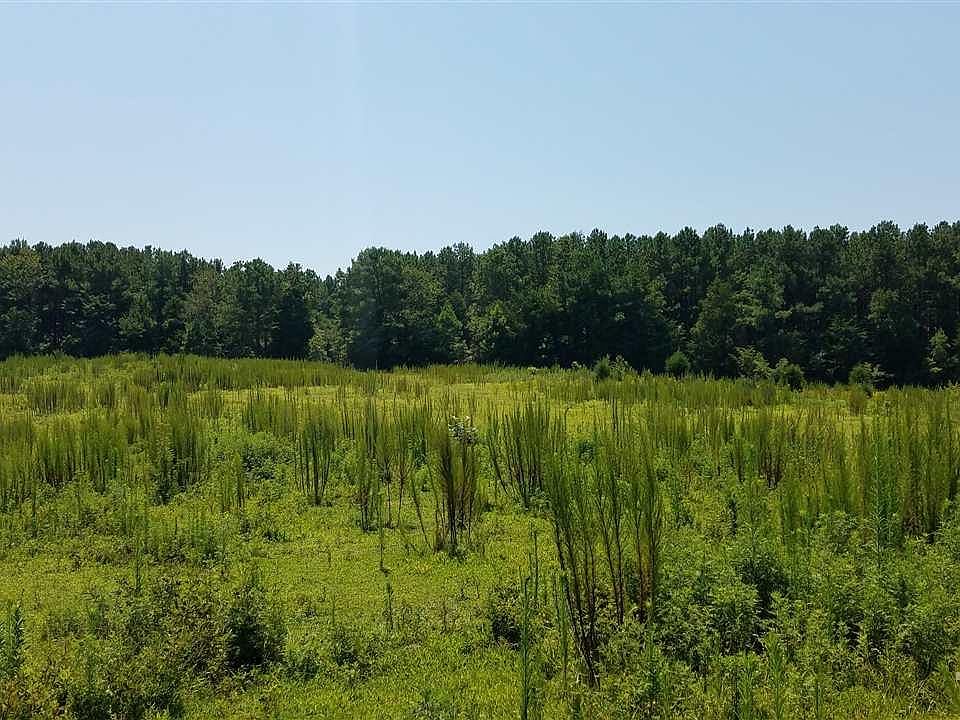 1st image of 462 State Highway 96 E