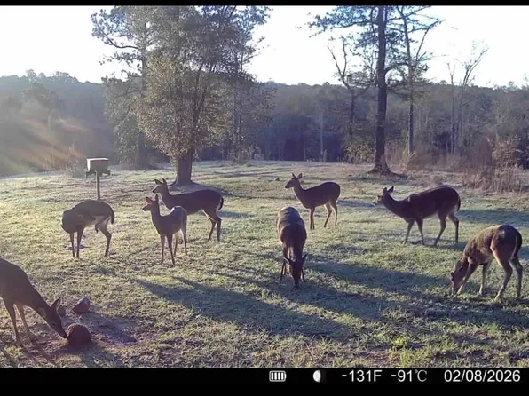 1 Corbin Rd, Newton, AL 36352