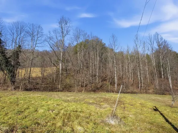 0 Bryson Branch Rd, Franklin, NC 28734