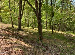 3110 Cove Ridge Way, Sevierville, TN 37862 | MLS #1243522 | Zillow