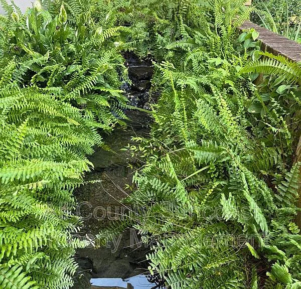 2600 Lucerne Dr — Photo 4