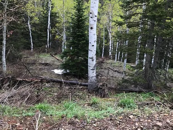 772 Porcupine Loop, Coalville, UT 84017