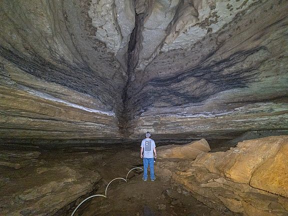 81st image of this home