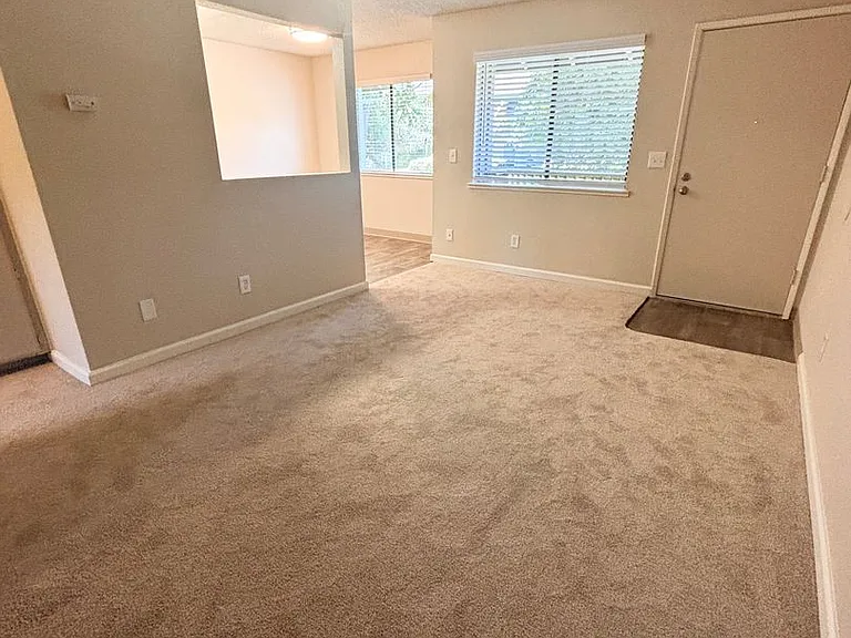 Olive Glen — Photo 13