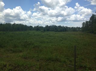 Brantford Rd, New Smyrna Beach, FL 32168