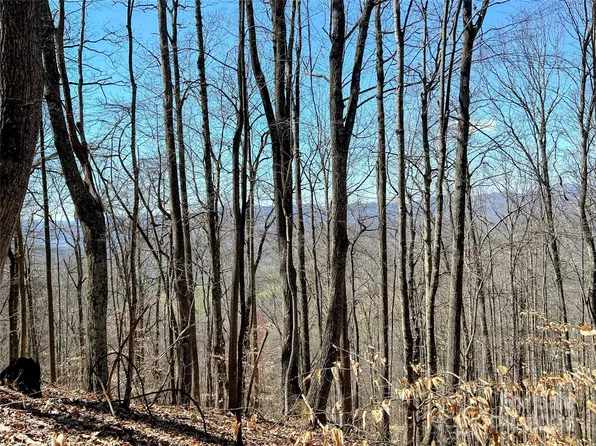 15 Red Wolf Run, Mars Hill, NC 28754