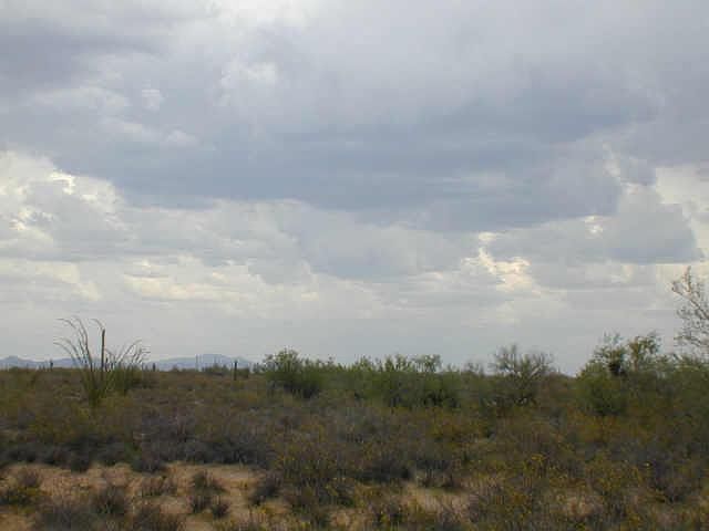 1st image of 0 E JAVELINA Drive