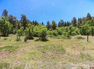 870 Cool Pines Dr, Pagosa Springs, CO 81147