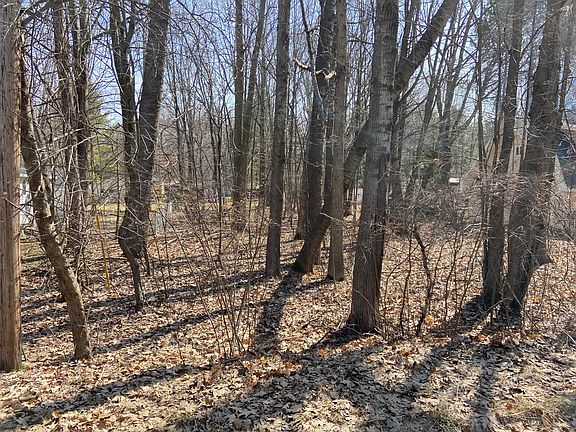 3rd image of LOT 13 Townline Rd N