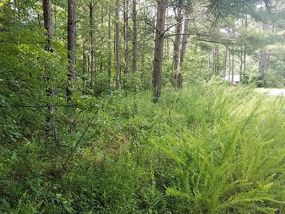 5th image of 0 Cheves Creek Circle