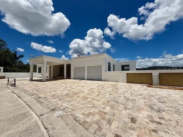 Carr 171 Mogote, Cayey, PR 00736