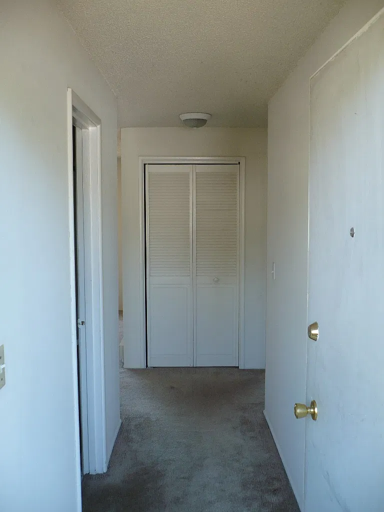 431w13 — Photo 3