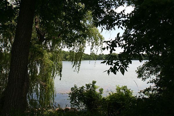 Mink Lake