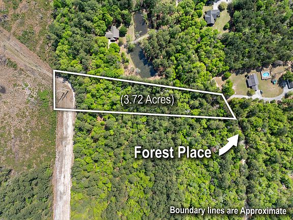 4th image of 4 Forest Pl