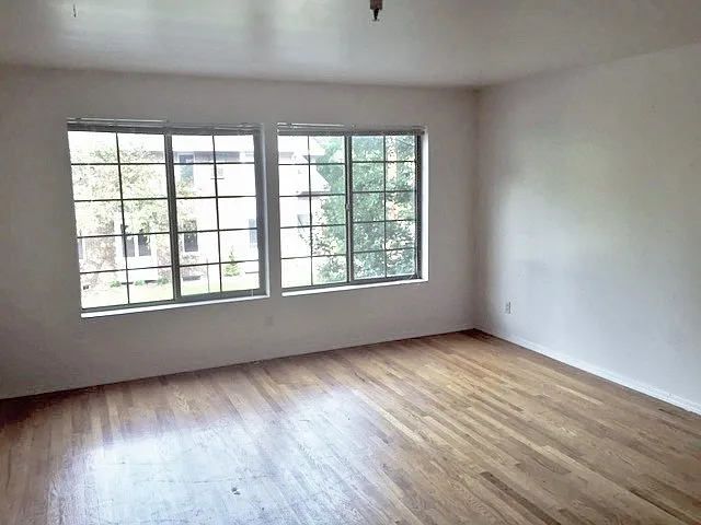 302CED — Photo 4