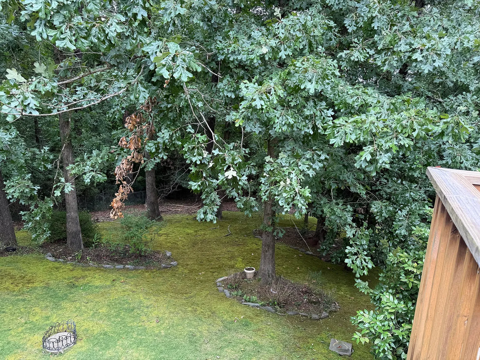 Spacious, Updated Home in Hoover — Photo 2