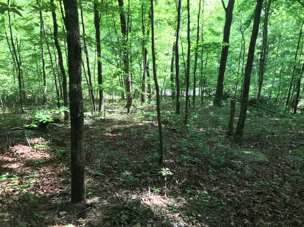 202 Deep Woods Dr, Dunlap, TN 37327