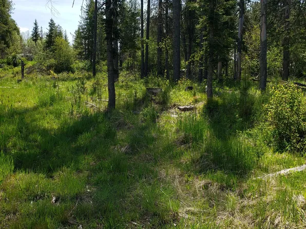LOT 313 Four Sunset St, Fernwood, ID 83830